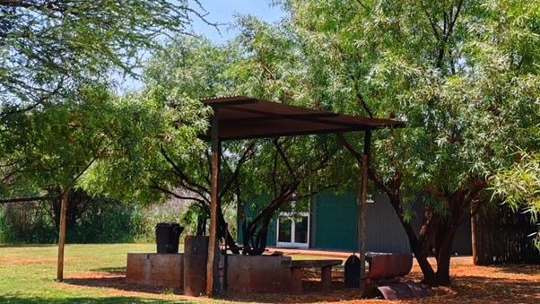 Evergreen River Bush Willow Campsite